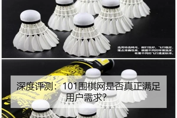 深度评测：101围棋网是否真正满足用户需求？
